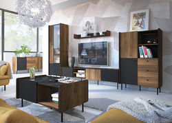PRS19 svetainės, valgomojo baldų komplektas: vitrina, komoda, kavos staliukas, pakabinama lentyna, TV staliukas