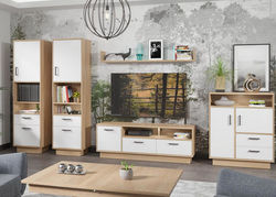 KARINA18 svetainės baldų komplektas: komoda, vitrina, spinta, pakabinama lentyna, TV staliukas, kavos staliukas