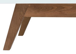 HANA4 kavos staliukas, žurnalinis staliukas su stalčiumi svetainei, valgomajam