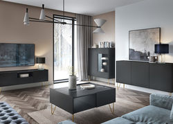 HESTERA6 modernių svetainės baldų komplektas: komoda, vitrina, TV spintelė, kavos staliukas